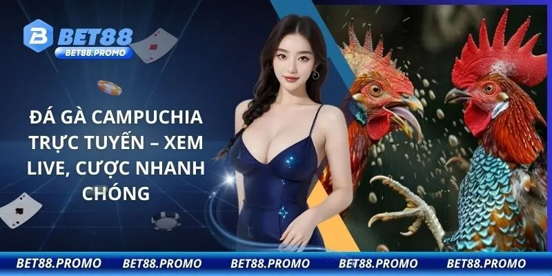 Đá Gà Campuchia Trực Tuyến – Xem Live, Cược Nhanh Chóng
