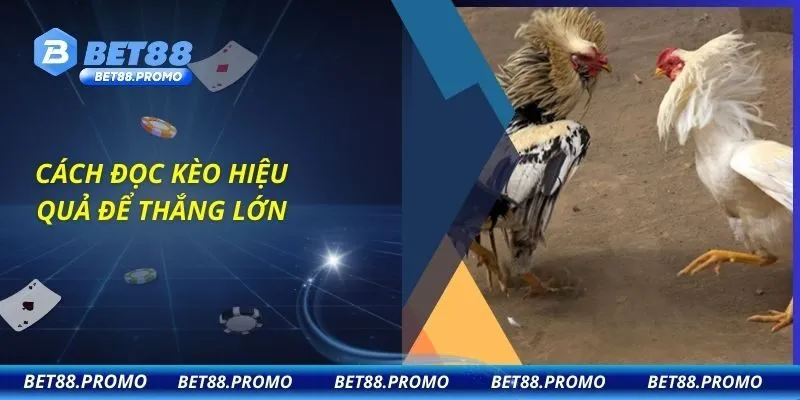 Cách đọc kèo hiệu quả để thắng lớn