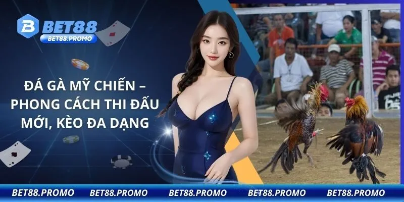 Đá Gà Mỹ Chiến – Phong Cách Thi Đấu Mới, Kèo Đa Dạng