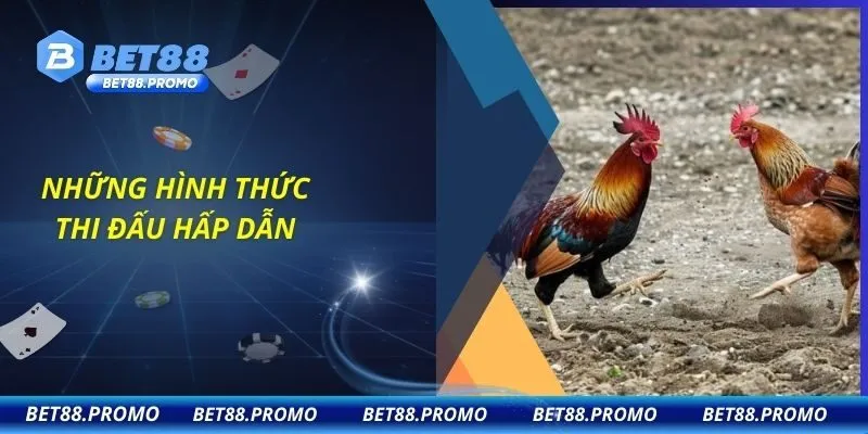 Những hình thức thi đấu hấp dẫn